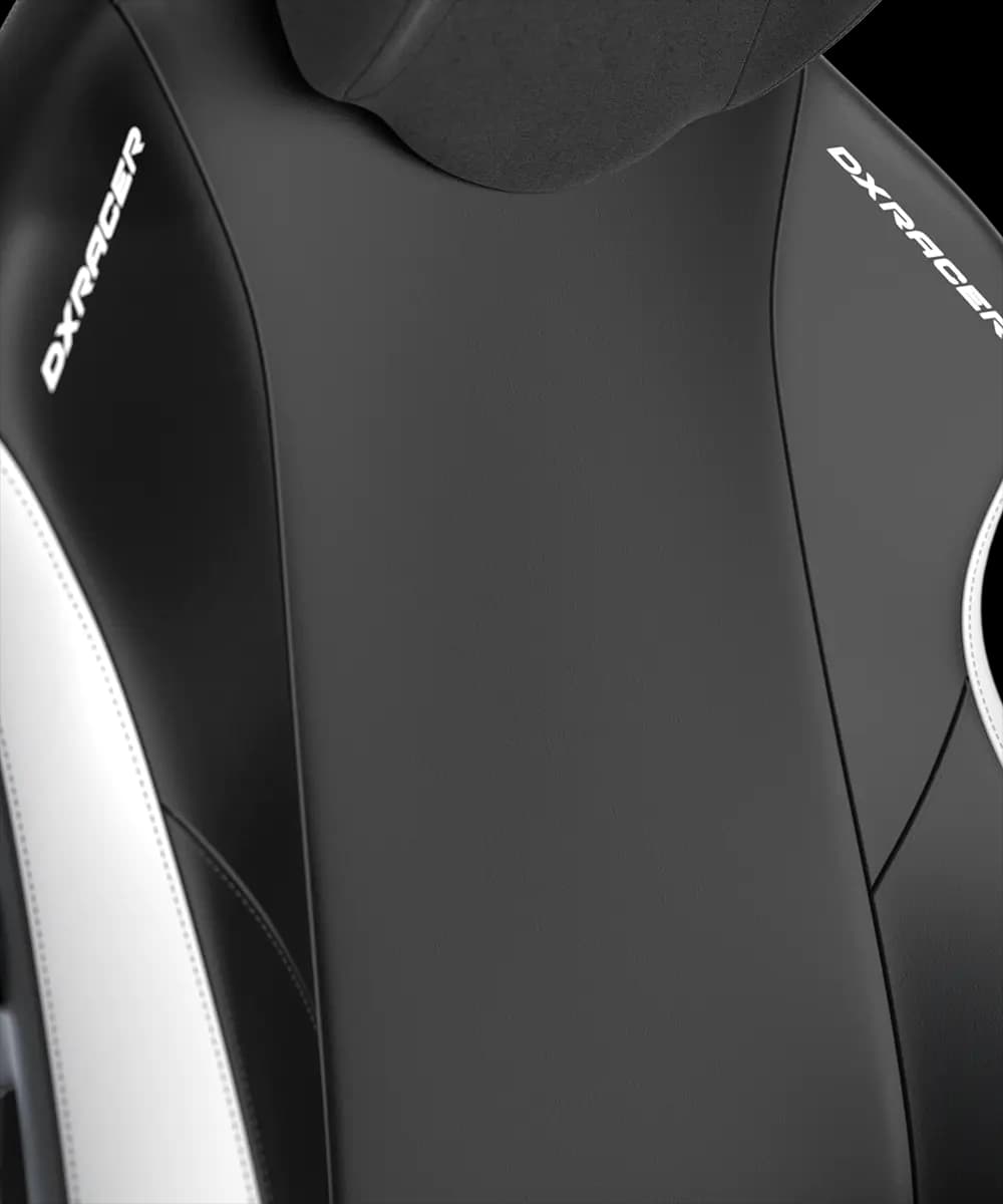 صندلی گیمینگ دی ایکس ریسر DXRacer Craft Pro Classic – Black/white — تصویر ۶