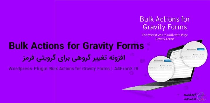 دانلود افزونه فارسی Bulk Actions for Gravity Forms