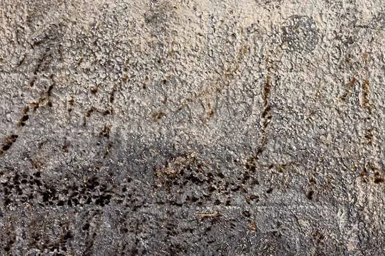 کاغذ دیواری گرانیتی طرح سیمان برجسته — تصویر ۲