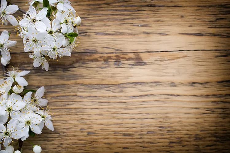پوستر دیواری طرح چوب و شکوفه های یاس
