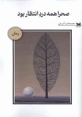کتاب صحرا همه درد انتظار بود