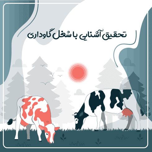 تحقیق آشنایی با شغل گاوداری