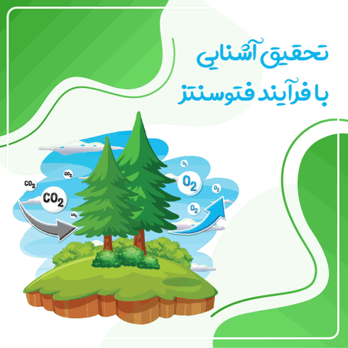 تحقیق آشنایی با فرآیند فتوسنتز