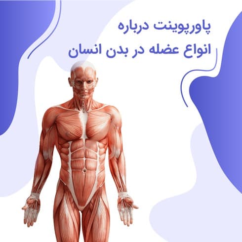 پاورپوینت درباره انواع عضله در بدن انسان
