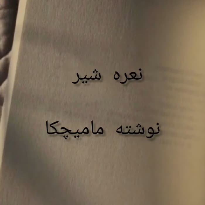 نعره شیر – رمان عاشقانه ایرانی درباره جدایی و شروعی دوباره | دانلود | کتاب خوان