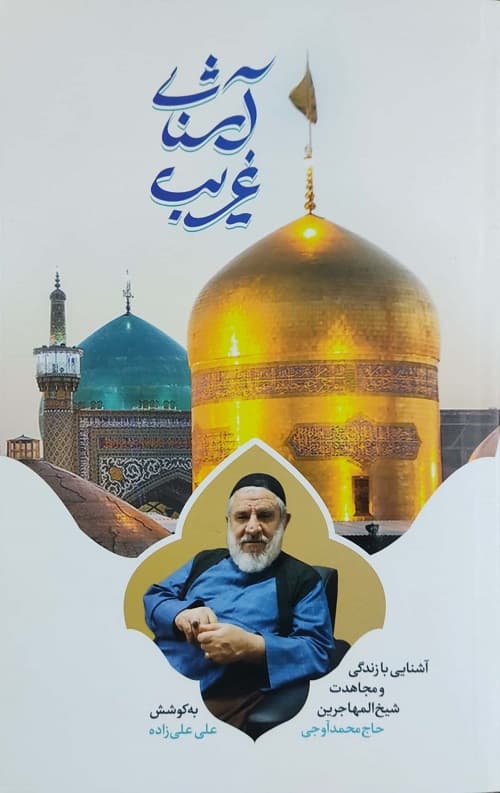 آشنای غریب — تصویر ۲