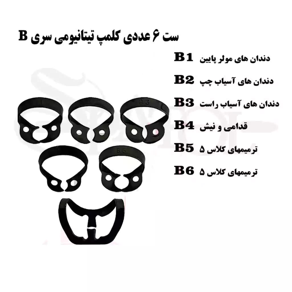 ست کلمپ رابردم سری B تیتانیومی (2رنگ) کاریزما Charisma — تصویر ۲