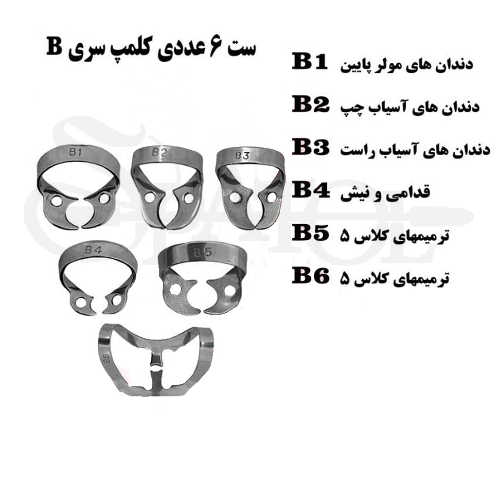 کلمپ رابردم سری B ( برینکر ) کاریزما (Charisma)