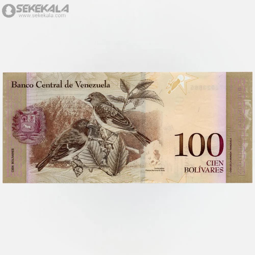 اسکناس 100 بولیوار ونزوئلا 2013 (UNC) — تصویر ۲