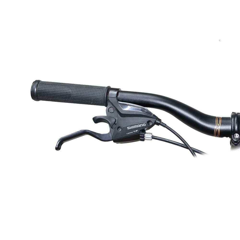 دوچرخه کنندل مدل CANNONDELL POLICE PLUS سایز 24 ویبرک 21 دنده — تصویر ۶