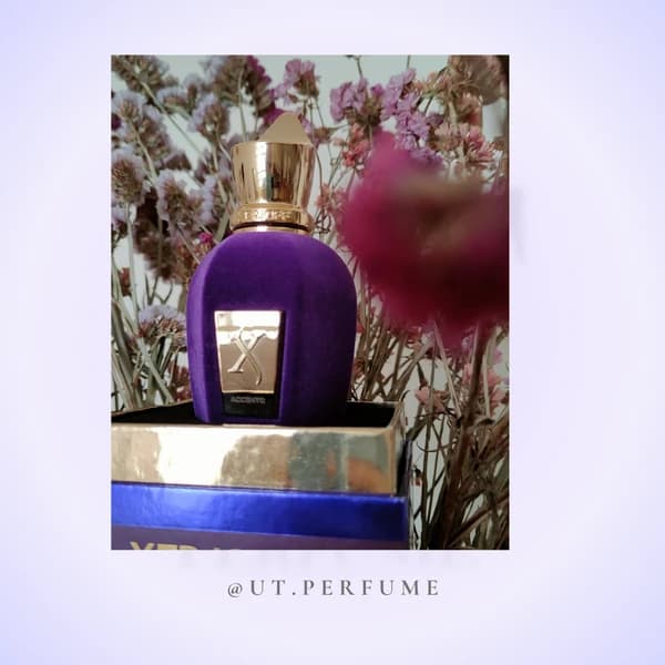 عطر زرجف اکسنتو-اچنتو-اسنتو | Xerjoff – Accento — تصویر ۶