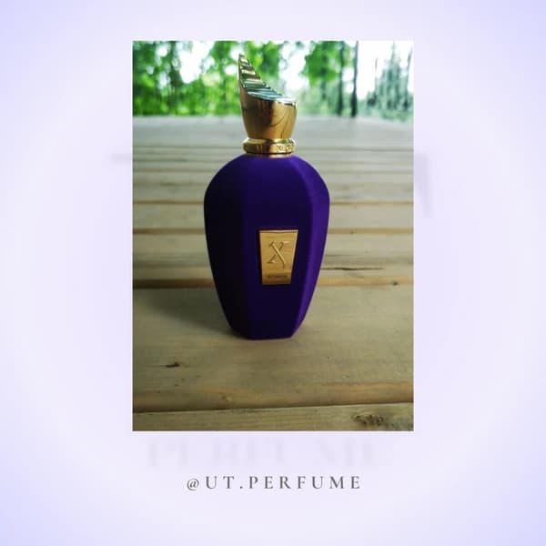 عطر زرجف اکسنتو-اچنتو-اسنتو | Xerjoff – Accento — تصویر ۵