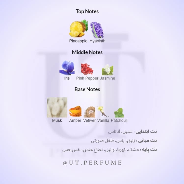 عطر زرجف اکسنتو-اچنتو-اسنتو | Xerjoff – Accento — تصویر ۳