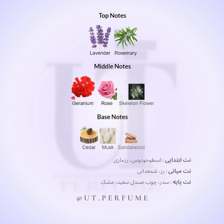 عطر زرجوف کازاموراتی کاسافیوچرا (کاسافوتورا) | Xerjoff – Casamorati Casafutura — تصویر ۳