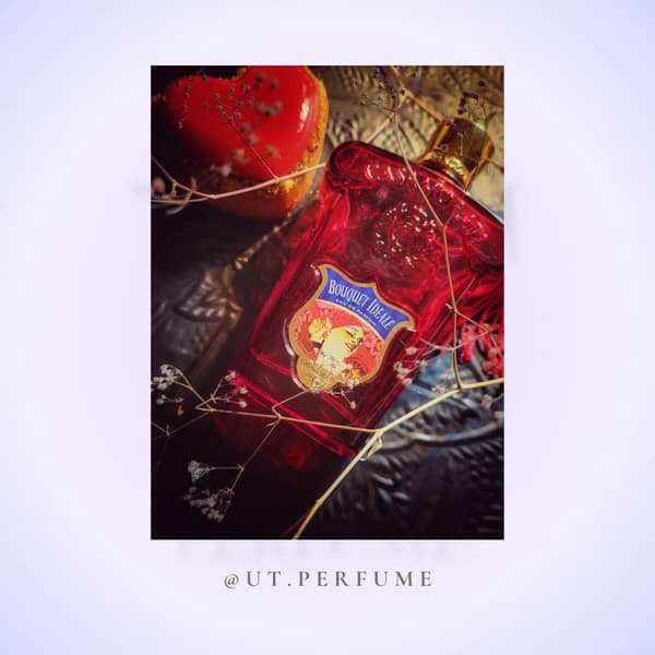 عطر کازاموراتی زرجوف بوکت آیدل زنانه | Xerjoff – Casamorati Bouquet Ideale — تصویر ۵