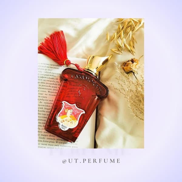 عطر کازاموراتی زرجوف بوکت آیدل زنانه | Xerjoff – Casamorati Bouquet Ideale — تصویر ۶