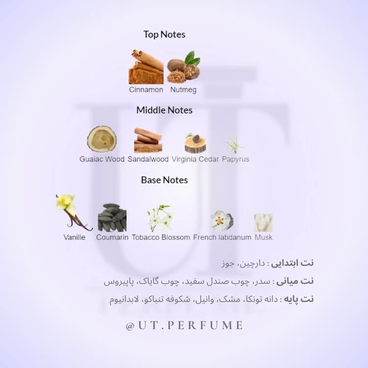 عطر کازاموراتی زرجوف بوکت آیدل زنانه | Xerjoff – Casamorati Bouquet Ideale — تصویر ۳
