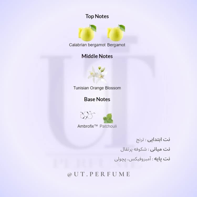 عطر ایوسن لورن مای سلف مردانه | Yves Saint Lauren – MYSLF — تصویر ۳