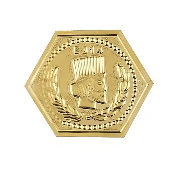 سکه پارسیان 600 سوتی عیار 750 — تصویر ۲