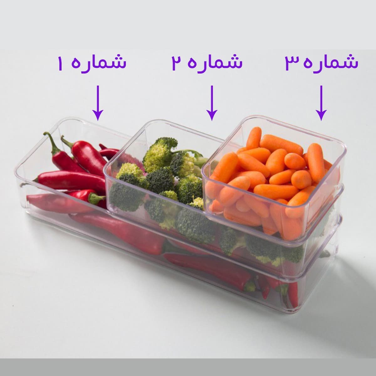 نظم دهنده رنگی/شفاف سایز 1 آریسام(12)/161 — تصویر ۳