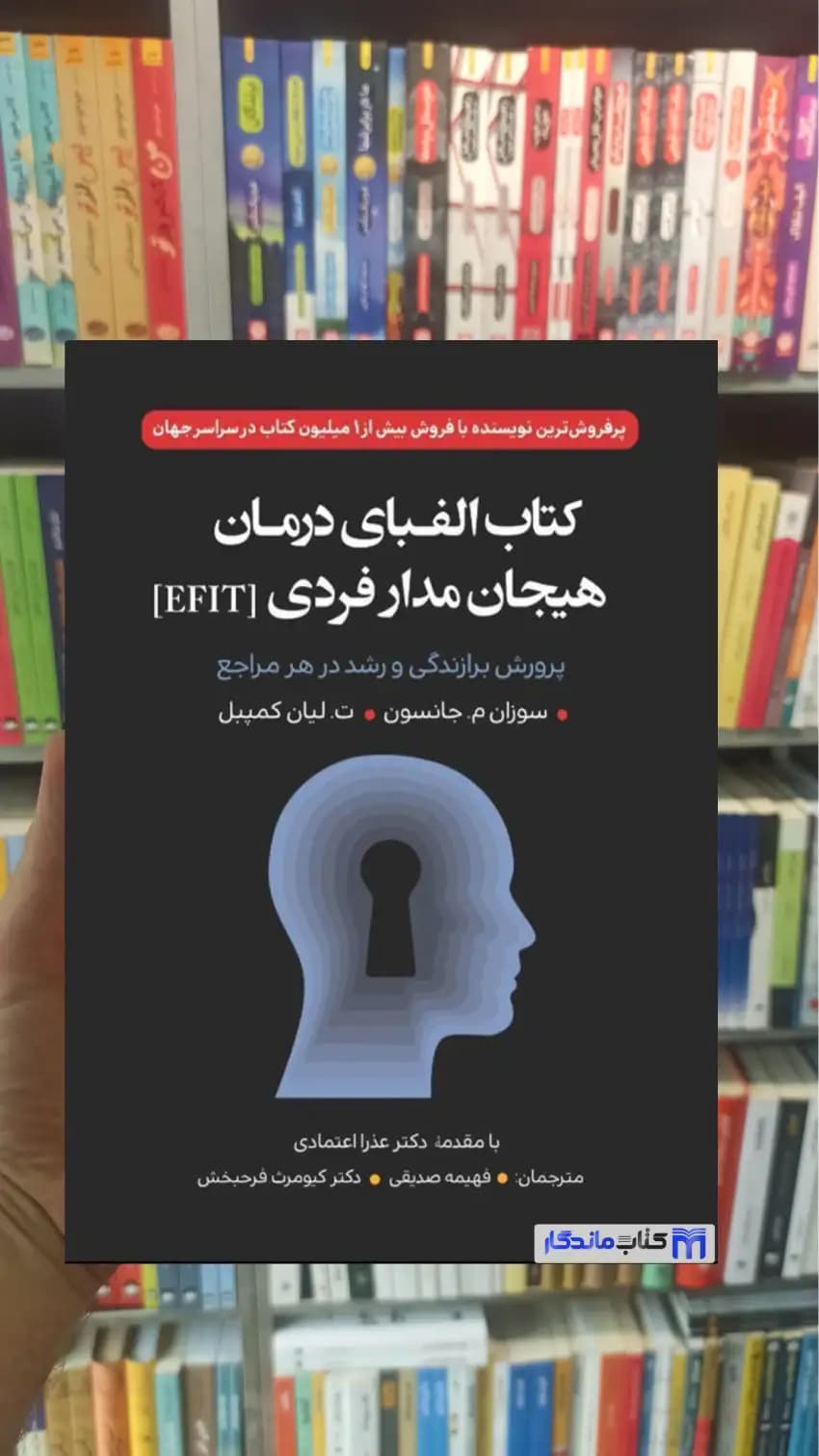کتاب الفبای درمان هیجان مدار فردی EFIT م. جانسون ارسباران