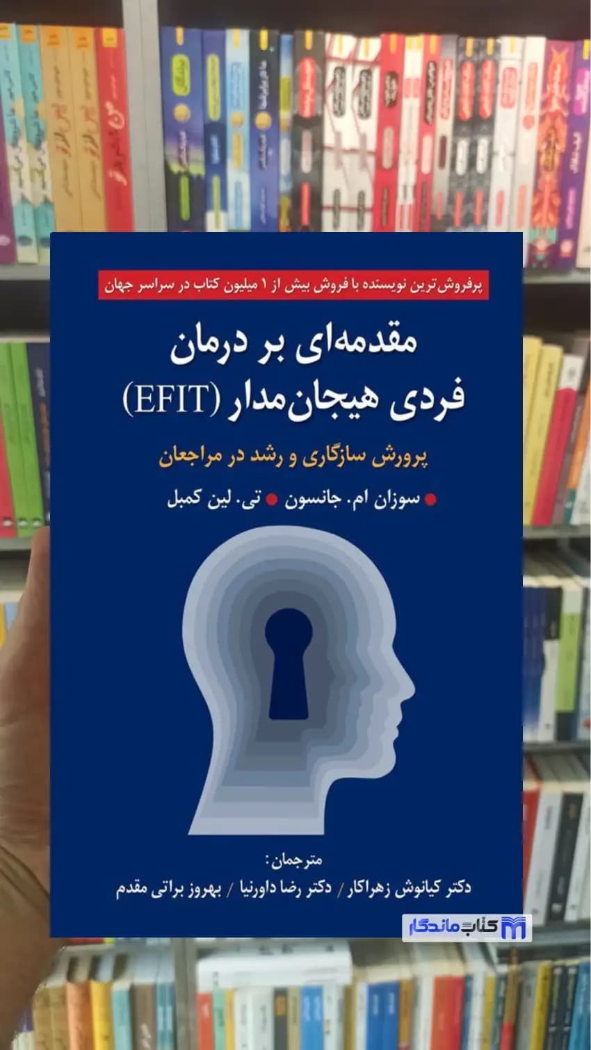 مقدمه ای بر درمان فردی هیجان مدار EFIT کمبل روان