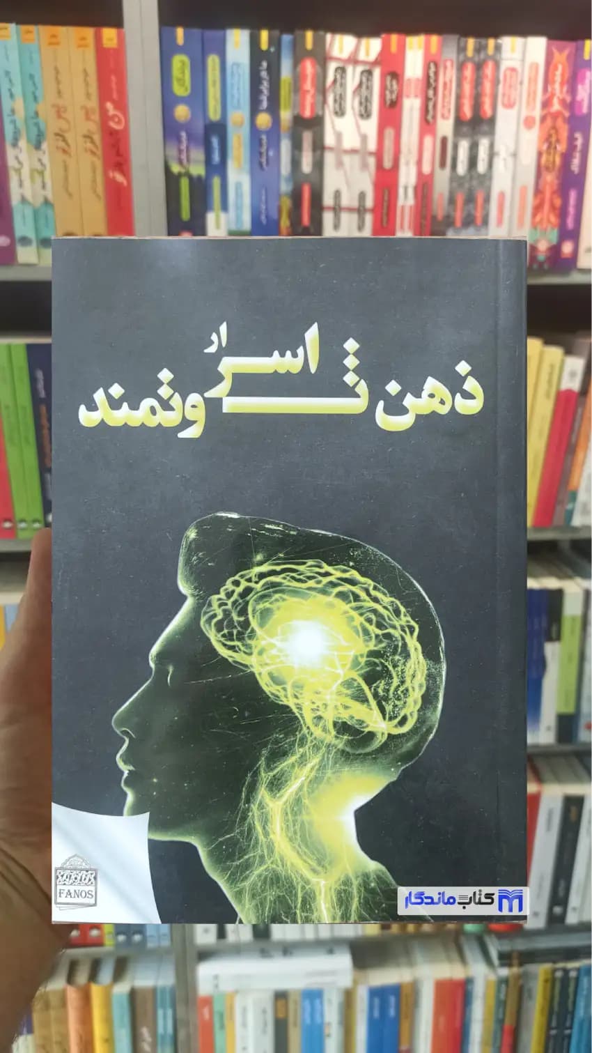 اسرار ذهن ثروتمند هارو اکر فانوس