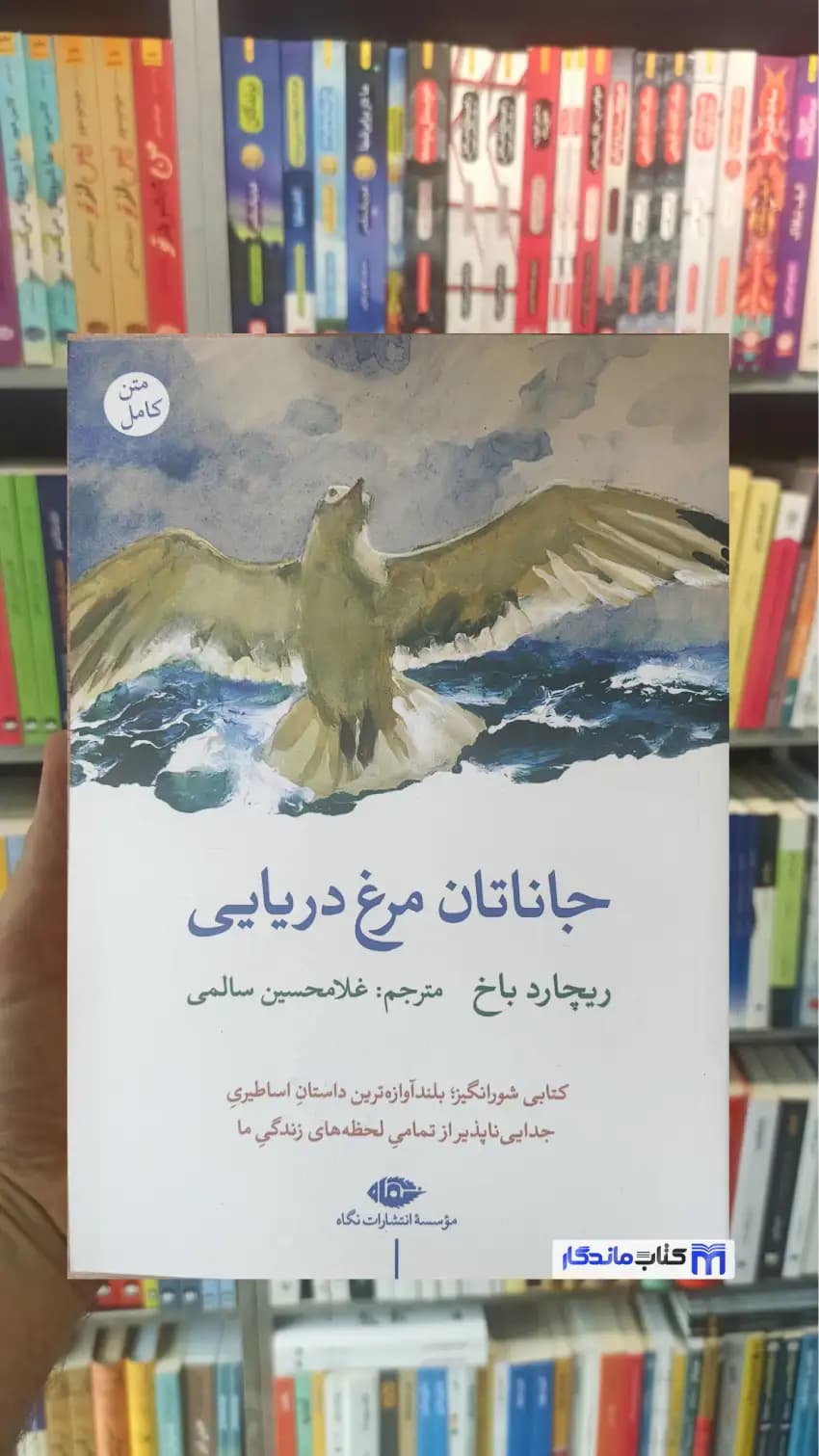 جاناتان مرغ دریایی ریچارد باخ نگاه