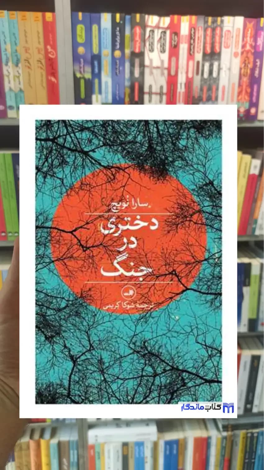 دختری در جنگ نویچ ثالث