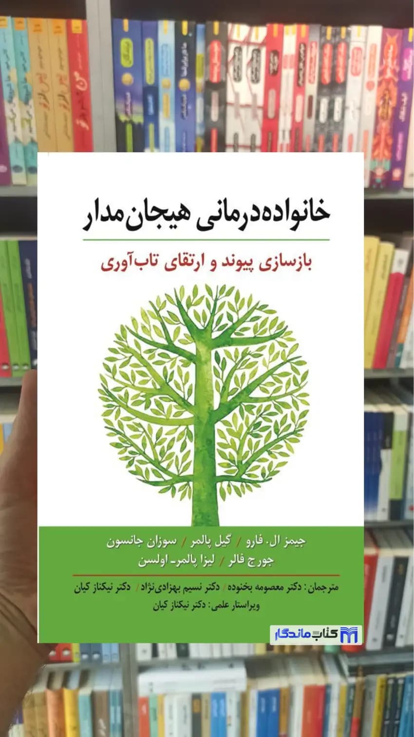 خانواده درمانی هیجان مدار گیل پالمر ارسباران
