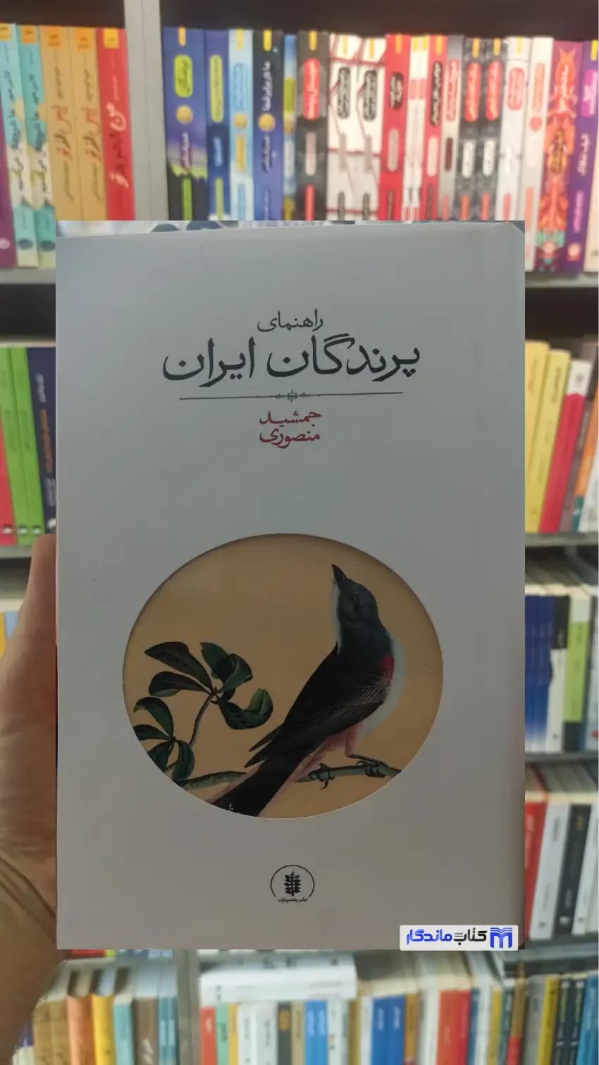 راهنمای پرندگان ایران منصوری رهسپاران