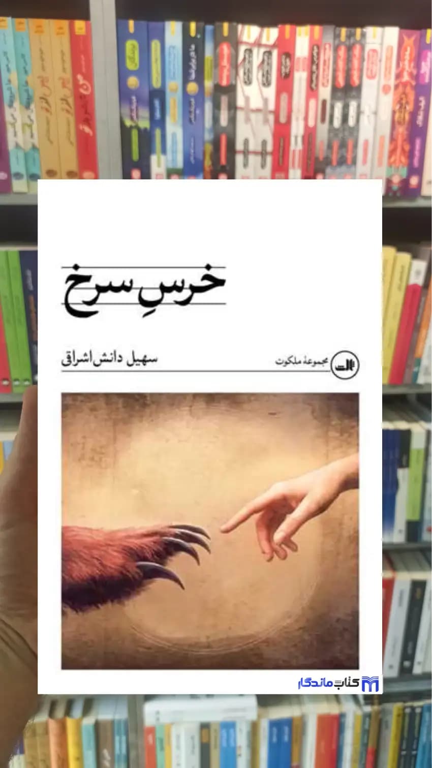 خرس سرخ دانش اشراق ثالث
