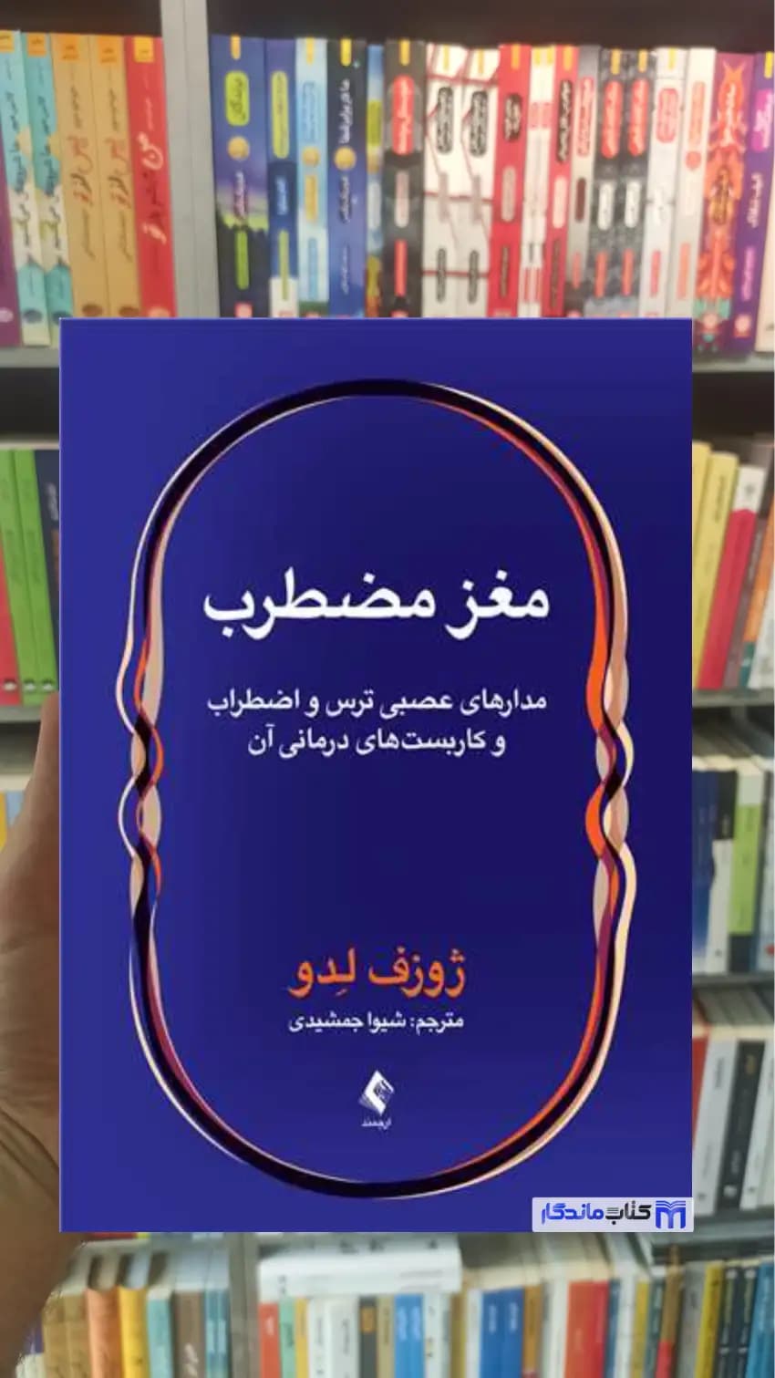 مغز مضطرب ژوزف لدو ارجمند