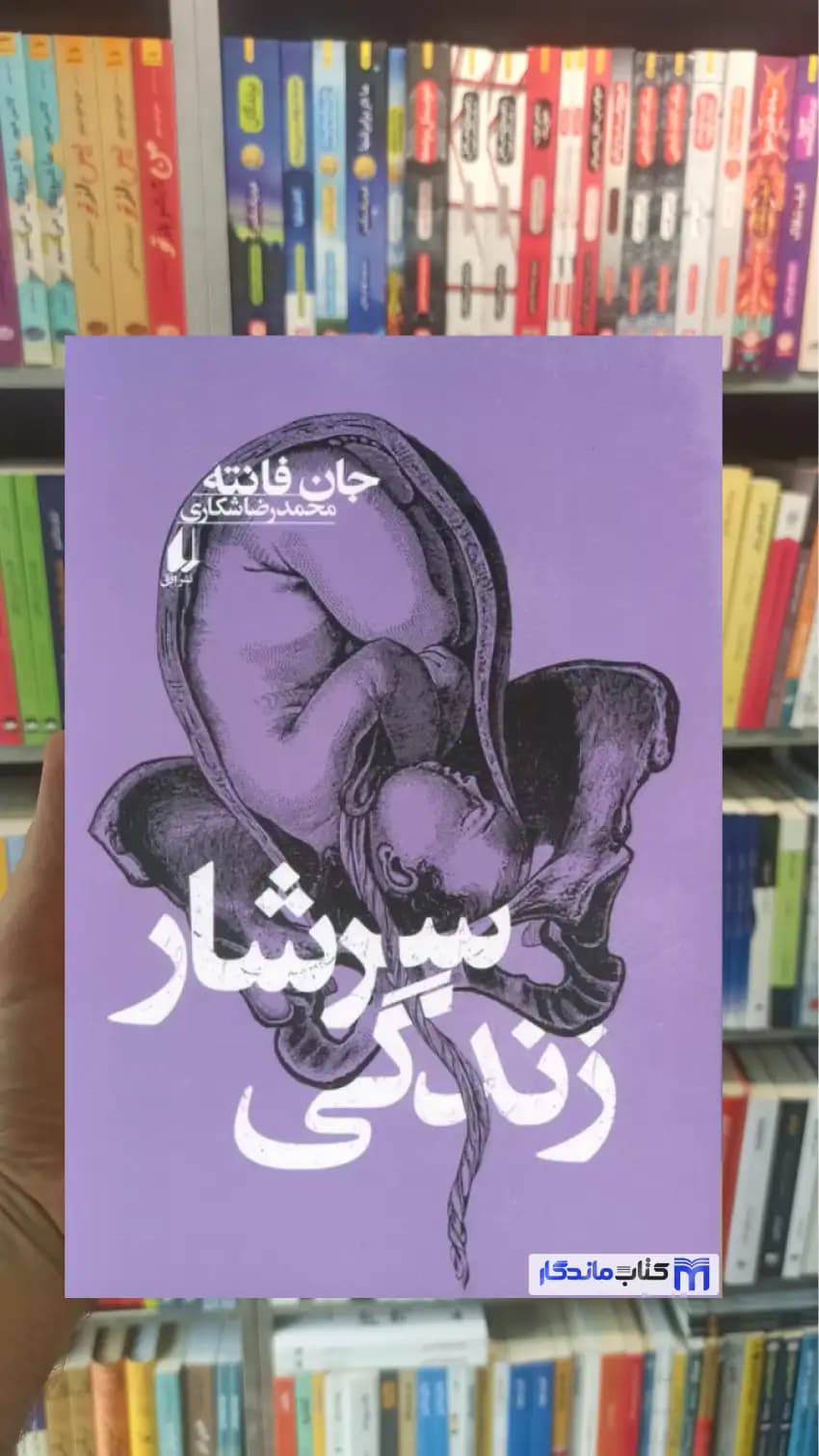سرشار زندگی جان فانته افق