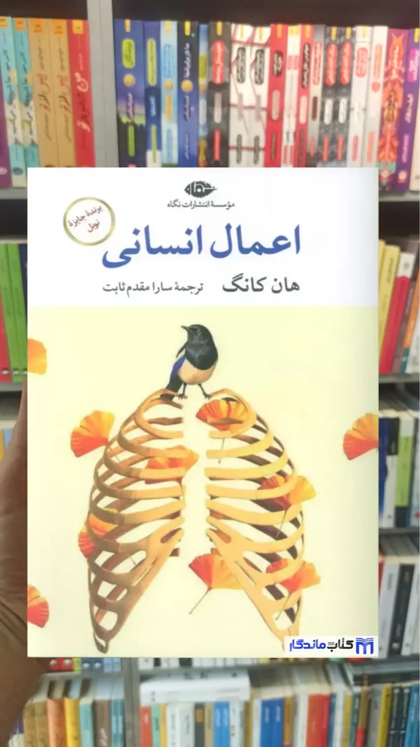 اعمال انسانی هان کانگ نگاه