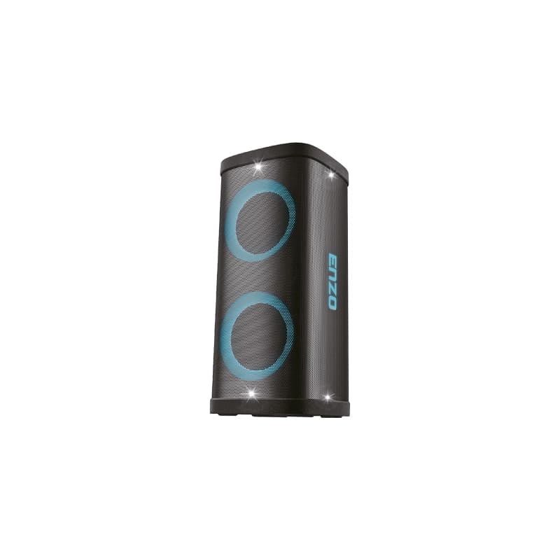 اسپيكر ENZO BOX 650 — تصویر ۲