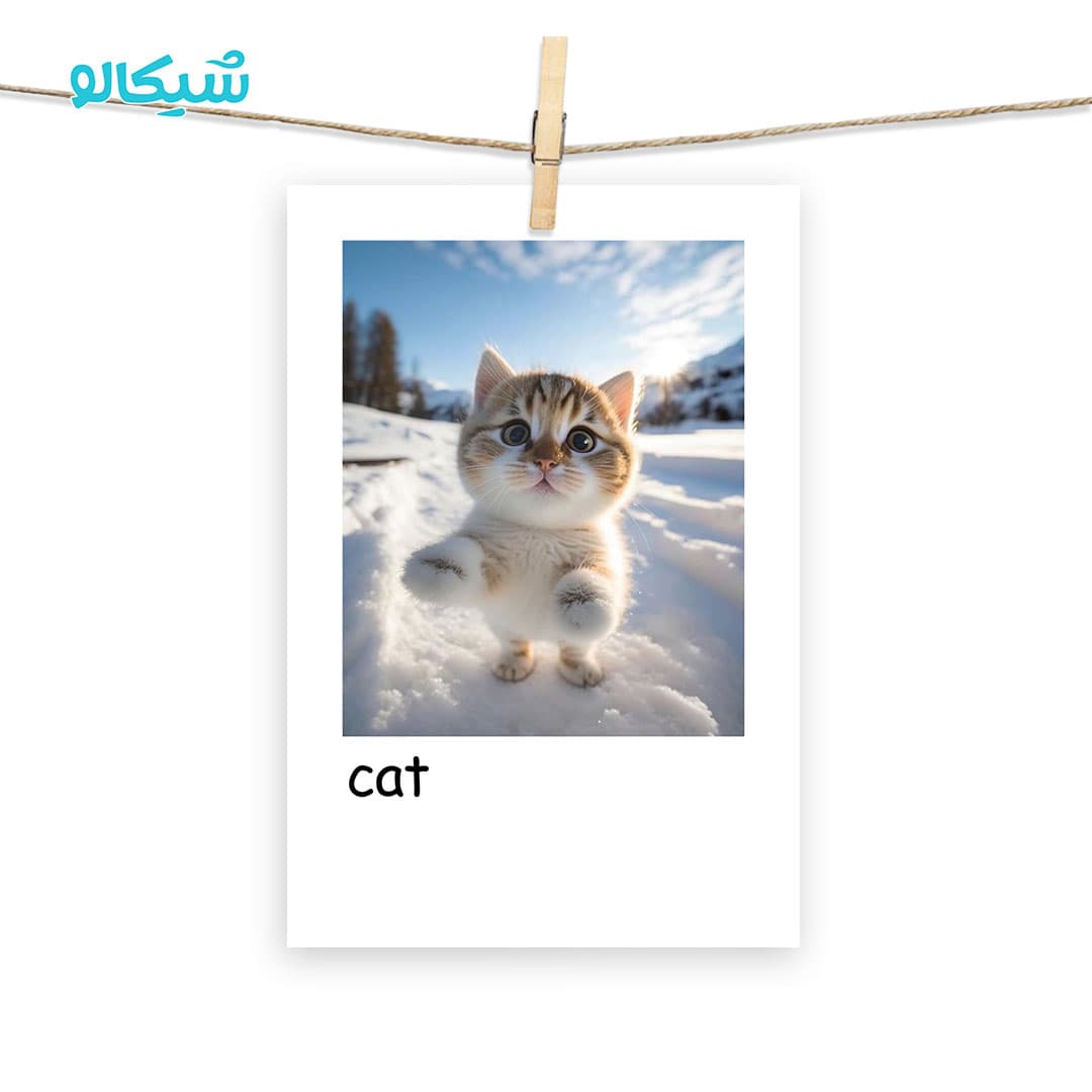 پولاروید گربه کیوت