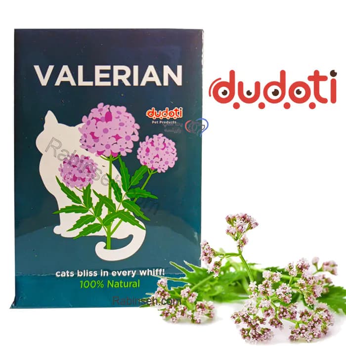 پودر سنبل الطیب dudoti