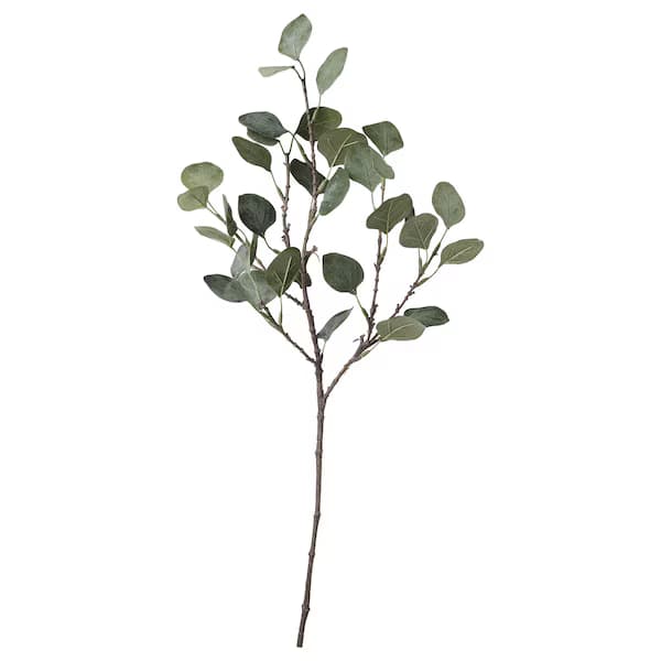 گل برگ ايكيا