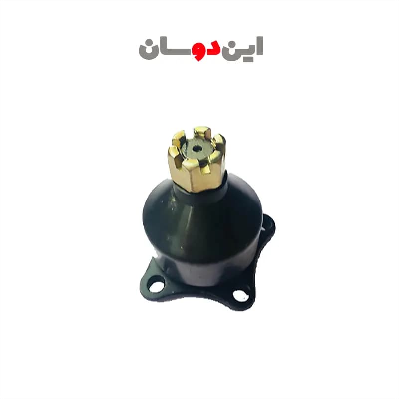 سیبک طبق بالای کاپرا تایوانی