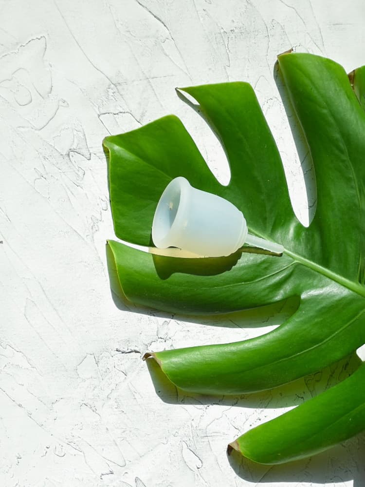 کاپ قاعدگی متوسط مدل حساس لیوا فارما Sensitive levva pharma — تصویر ۳