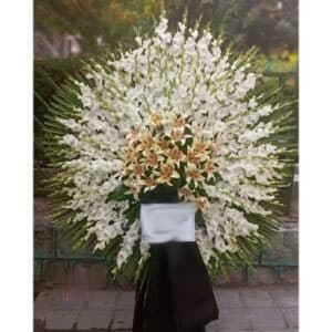 تاج گل برای مسجد الاقصی مشیر السلطنه فروزش امیر بهادر 100a98