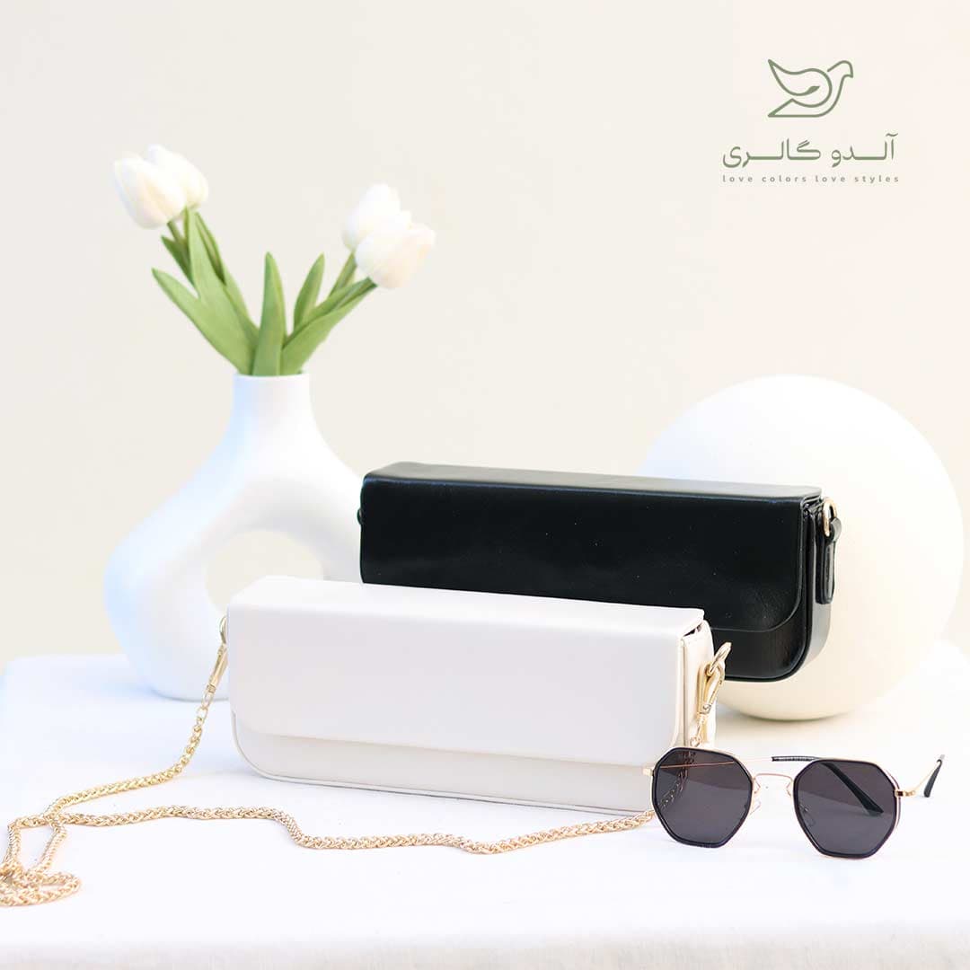 کیف مجلسی لانگیتو