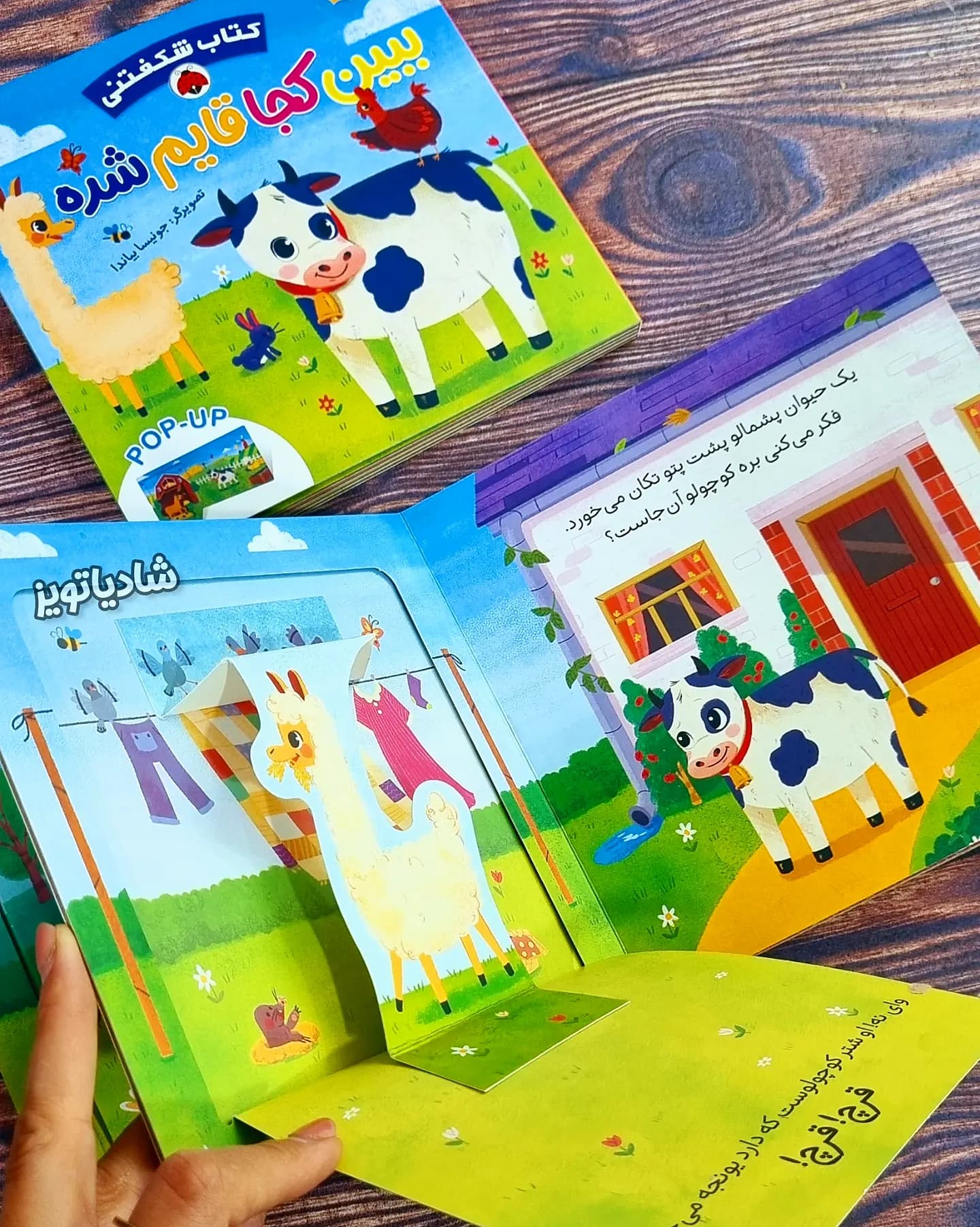 کتاب شگفتی مزرعه (ببین کجا قایم شده) — تصویر ۳