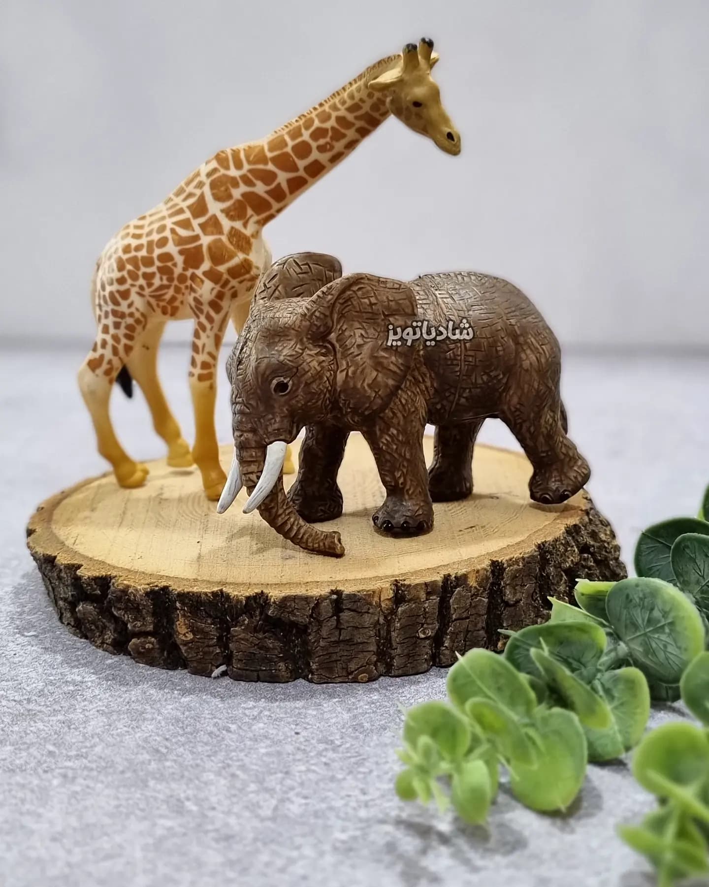پک فیگور حیوانات وحشی