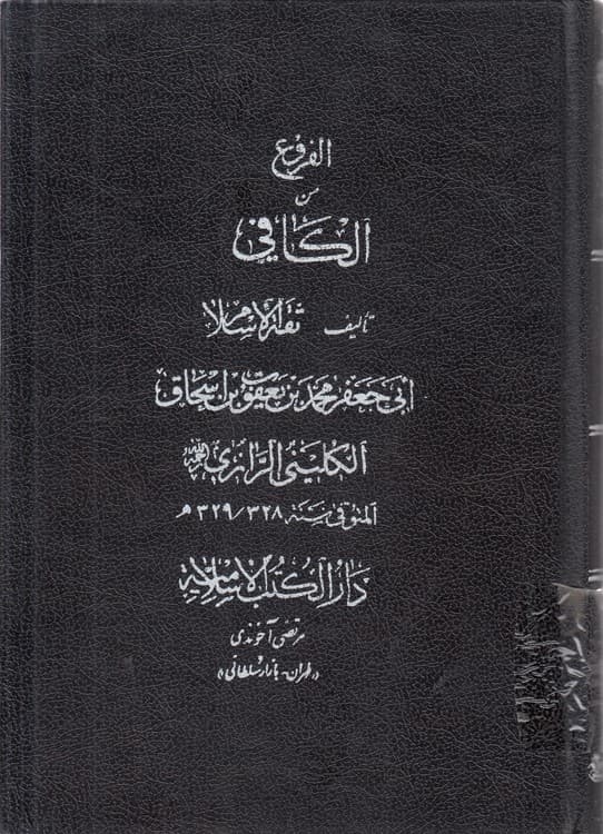 الفروع من الکافی (جلد ۶)