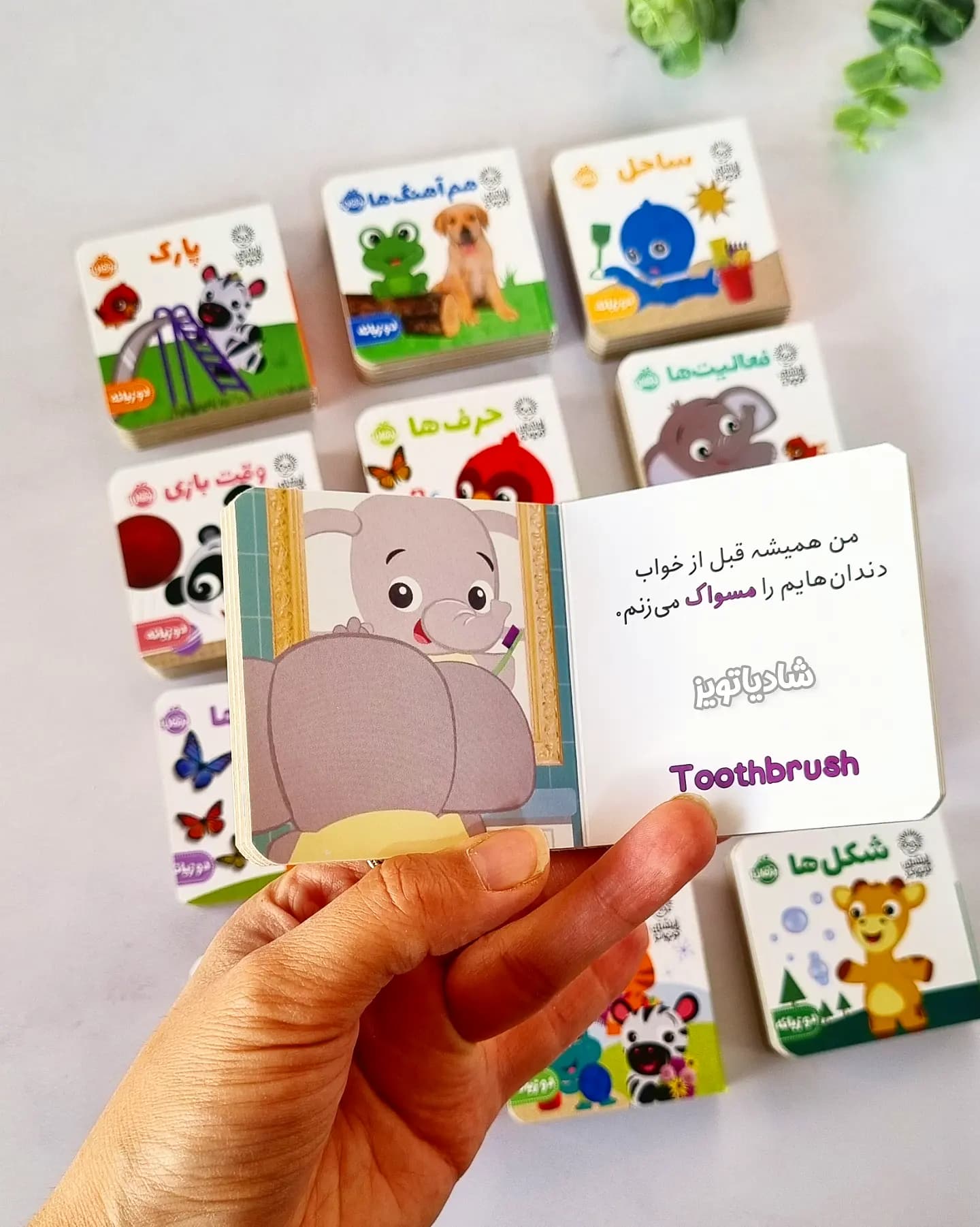 مجموعه کتاب انیشتین کوچولو — تصویر ۸