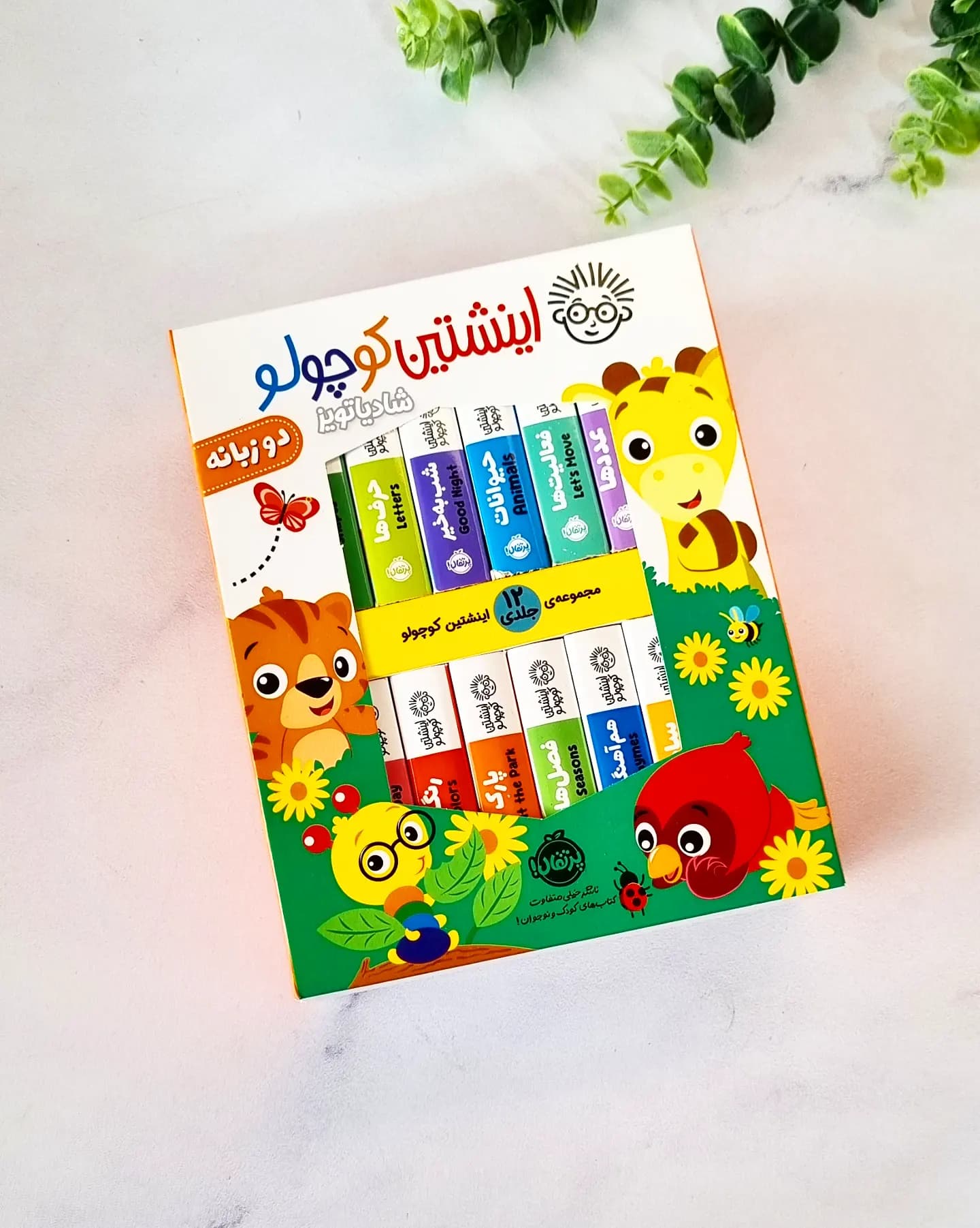 مجموعه کتاب انیشتین کوچولو