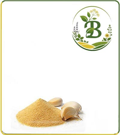 عصاره سیر خشک یا پودری