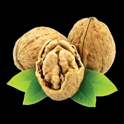 نهال گردو ژنوتیپ تیپ 6 گرمسیری